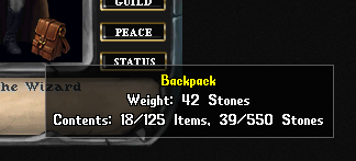 The paperdoll showing the backpack's tooltip