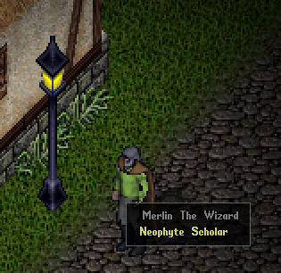 A player's tooltip
