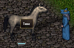 The context menu of a Horse showing the Tame option