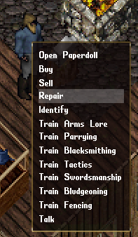 An npc's context menu indicating what skills they can train