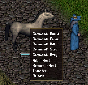 A tamed horse's context menu options