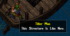 The tiller man on the boat