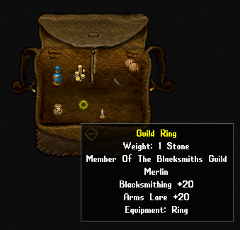 The tooltip of a guild ring showing skill bonuses